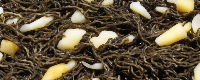 海苔不能和什么一起吃