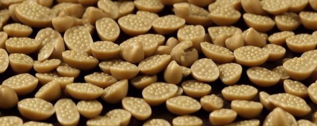 莲子不能和什么食物一起吃