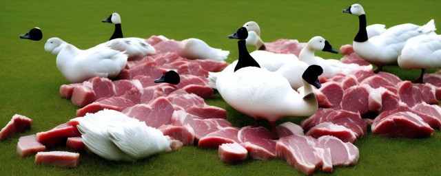 鹅肉的功效与作用忌讳