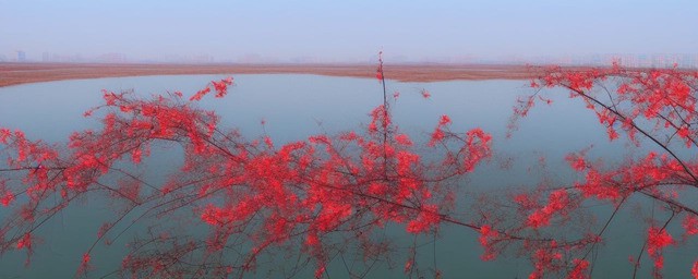 玉龙沙湖游玩攻略