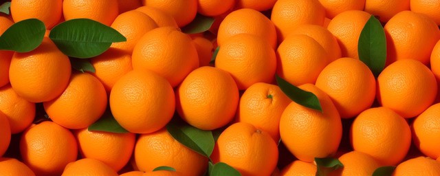 橘子止咳化痰的做法