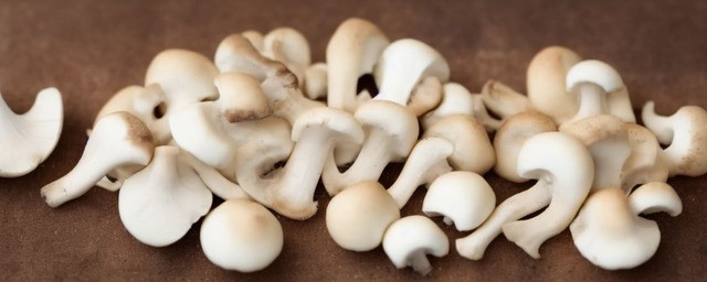 白灵菇的做法大全