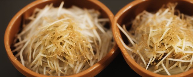 豆苗不能和什么一起吃