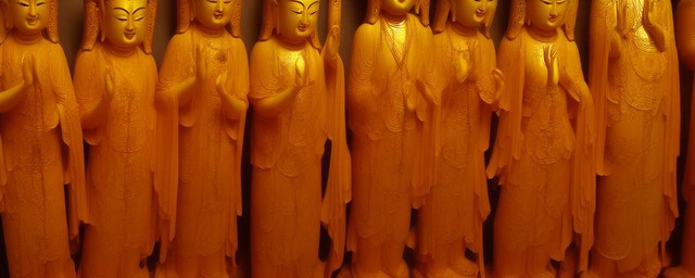 观音竹可以供佛菩萨吗
