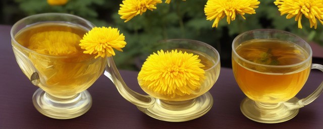 菊花茶和什么搭配好