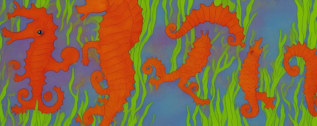 海马属不属于鱼类