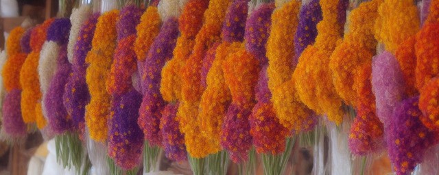 干花可以供佛菩萨吗
