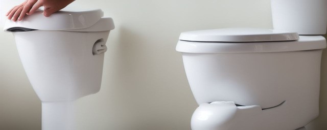 厕所异味怎样去除妙招