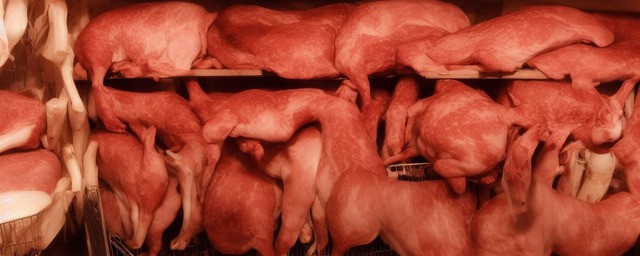 饿肉不能和什么一起吃
