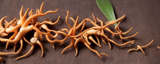虫草的食用要领