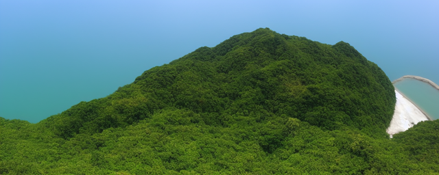 金塘岛自助游攻略 金塘岛自助游攻略