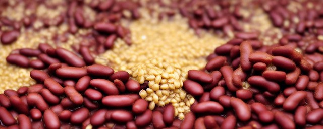 红豆薏米越喝湿气越重