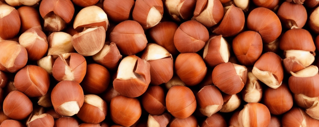 栗子多久能煮熟 栗子多久能煮熟