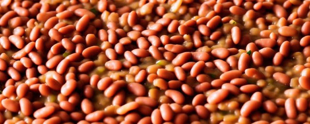 缸豆不能和什么一起吃