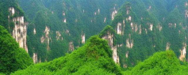 贵州的旅游景点