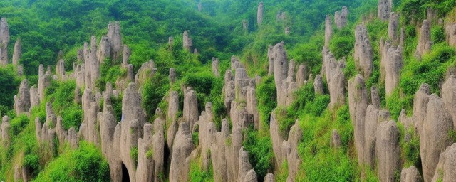 焦作的旅游景点大全
