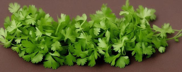 香菜的功效与作用忌讳