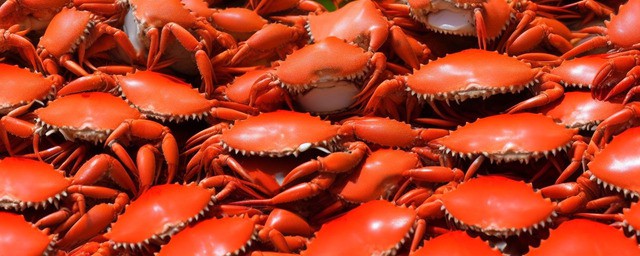 螃蟹不能与什么食物一起吃