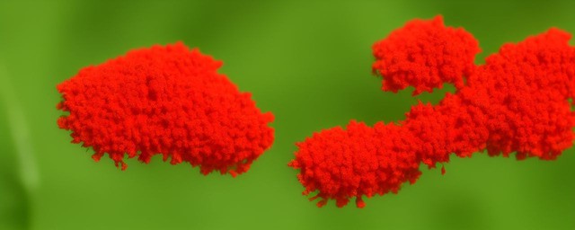 朱砂的作用和效果