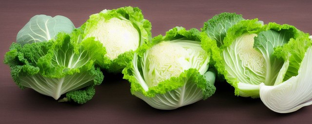 圆白菜不能和什么一起吃