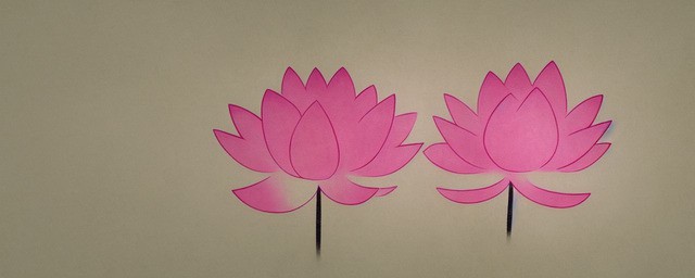 荷花的寓意和象征