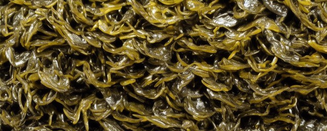 紫菜与什么搭配最好