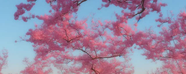 朝花夕拾读后感400字