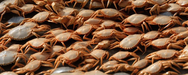 河蟹不能和别的食物一起吃
