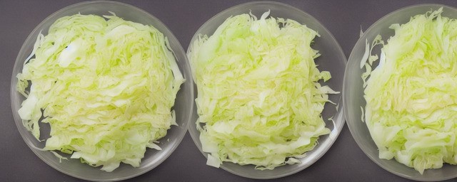 白菜丝的做法大全