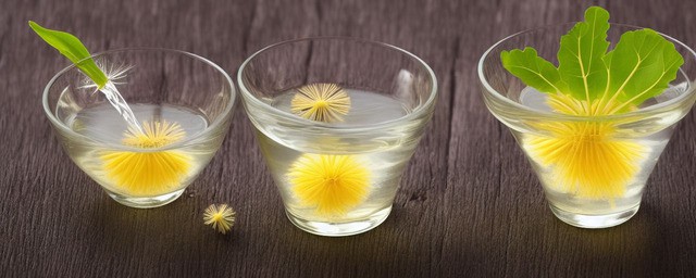 蒲公英泡水喝的功效