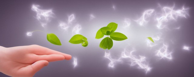 丹皮的功效与作用