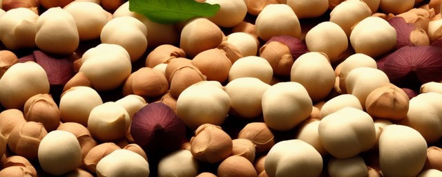 荸荠和什么不能一起吃 荸荠和什么不能一起吃