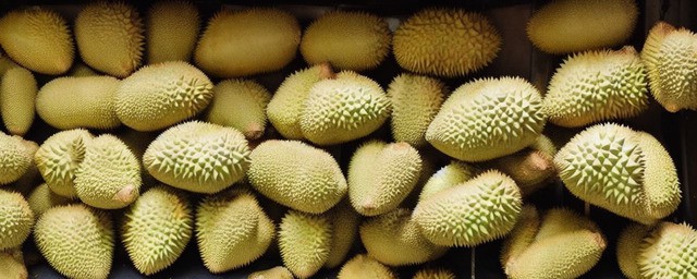 榴莲与什么相克