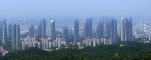 深圳三大特产是什么