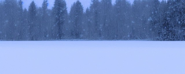 梦到下雪是什么征兆