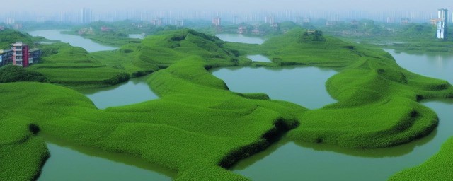 合肥滨湖十大景点