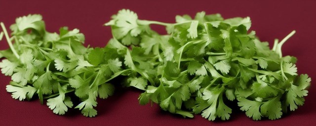 香菜男人吃了有啥危害