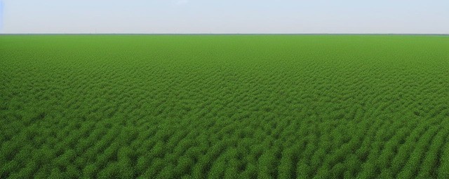 山东种植什么农作物