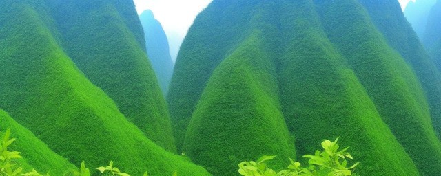 贵州旅游必去十大景点