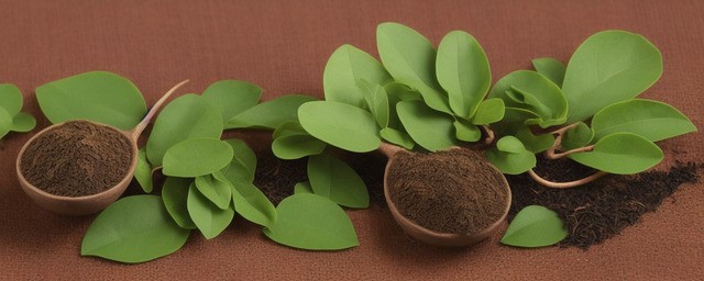 葛根茶过夜能喝吗