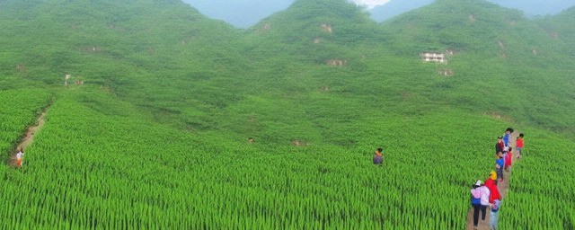 安康十大县旅游景点