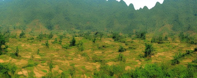 西双版纳旅游景点