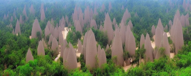 佳木斯旅游十大景点