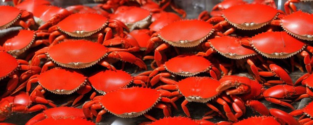 螃蟹能冻过夜吗能吃吗