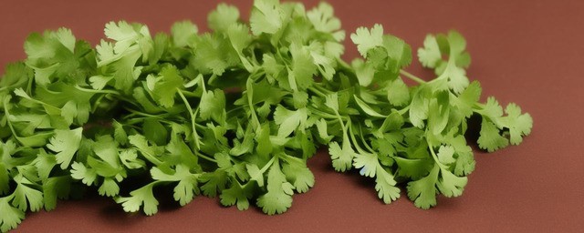 香菜的作用与功效