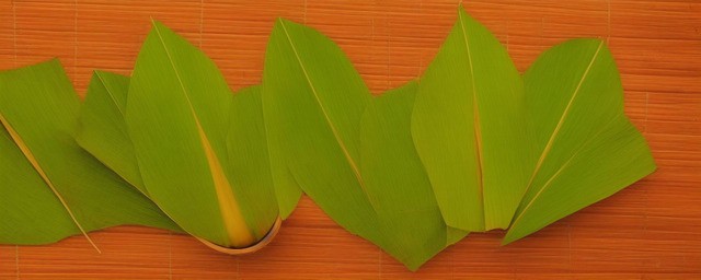 竹叶茶能过夜喝吗