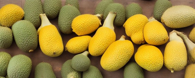 怎么挑选菠萝蜜