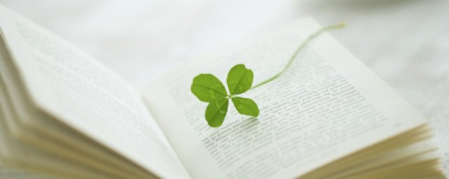 我们班的牛人作文