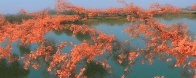 山东旅游景点大全