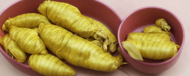 如何做蚕蛹最好吃又简单